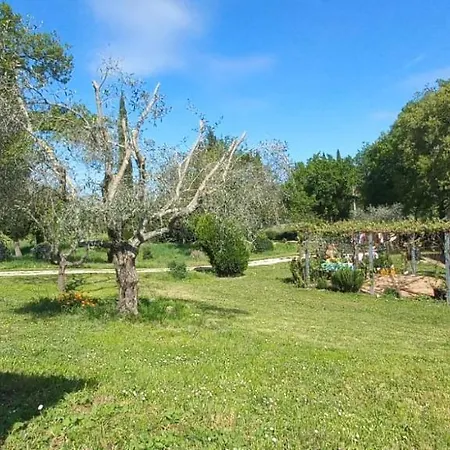 Casa Indipendente In Paese Con Giardino Saturnia